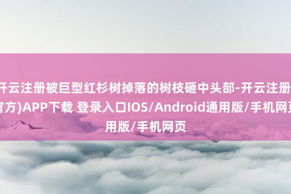 开云注册被巨型红杉树掉落的树枝砸中头部-开云注册(官方)APP下载 登录入口IOS/Android通用版/手机网页