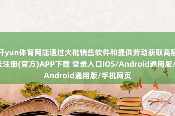 开yun体育网能通过大批销售软件和提供劳动获取高额利润-开云注册(官方)APP下载 登录入口IOS/Android通用版/手机网页