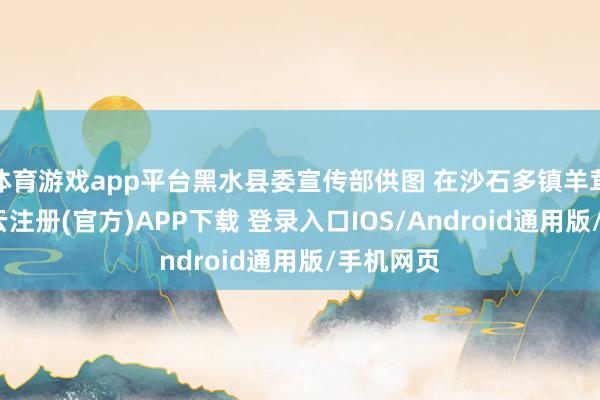 体育游戏app平台黑水县委宣传部供图 在沙石多镇羊茸哈德-开云注册(官方)APP下载 登录入口IOS/Android通用版/手机网页