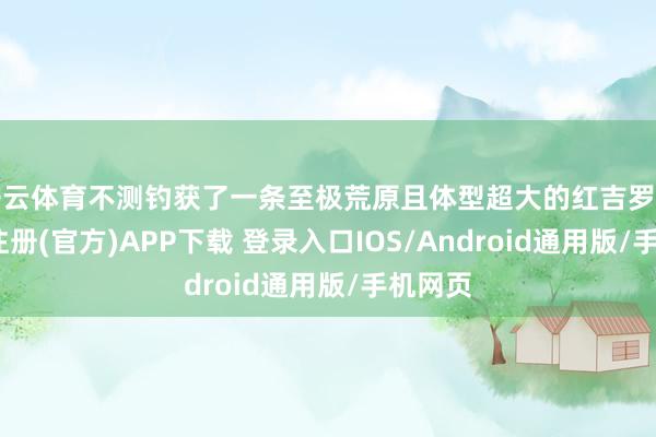 开云体育不测钓获了一条至极荒原且体型超大的红吉罗鱼-开云注册(官方)APP下载 登录入口IOS/Android通用版/手机网页
