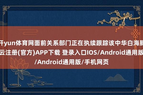 开yun体育网面前关系部门正在执续跟踪该中华白海豚的动向-开云注册(官方)APP下载 登录入口IOS/Android通用版/手机网页