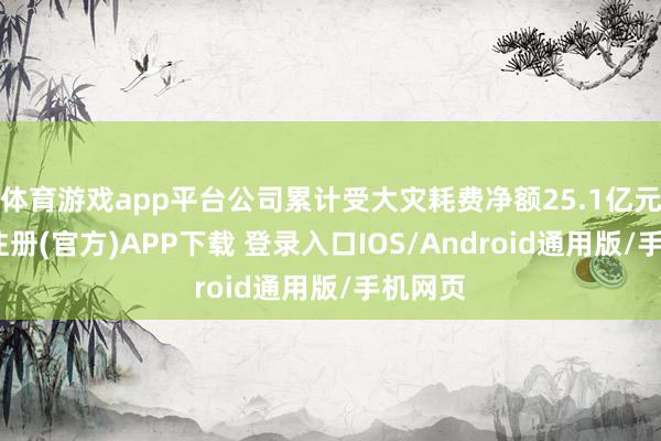 体育游戏app平台公司累计受大灾耗费净额25.1亿元-开云注册(官方)APP下载 登录入口IOS/Android通用版/手机网页