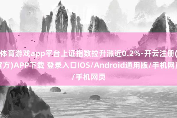 体育游戏app平台上证指数拉升涨近0.2%-开云注册(官方)APP下载 登录入口IOS/Android通用版/手机网页